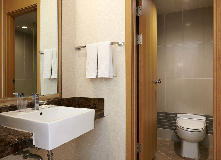 Bathroom 4, Oak Valley Valley Village, Hoengseong