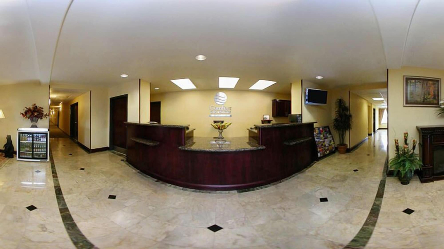 Public Area 2, Comfort Inn & Suites Airport, Washoe