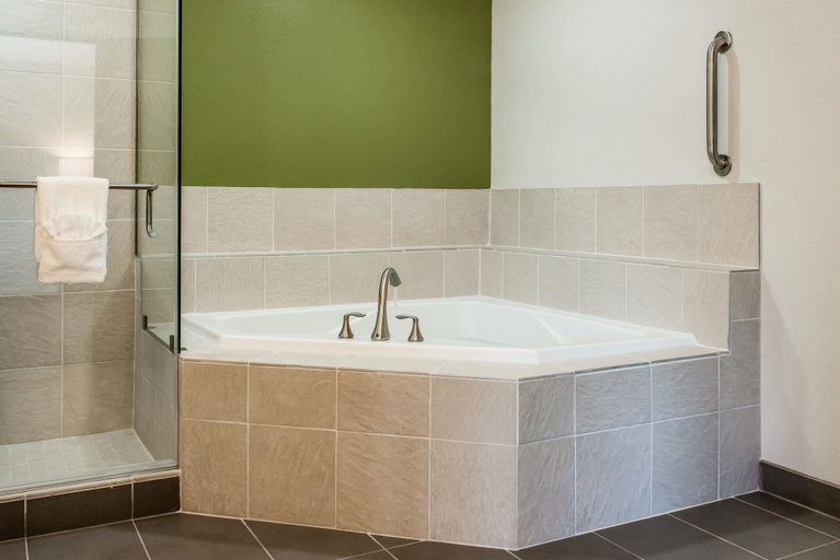 Bathroom 4, Sleep Inn Ellenboro Hwy 50, Ritchie
