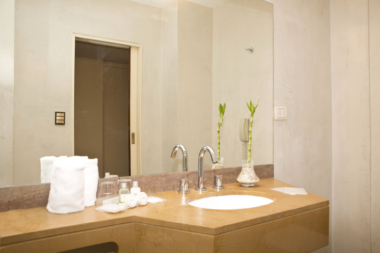 Bathroom 5, Bisonte Libertad, Distrito Federal