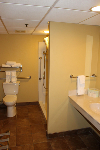 Bathroom 4, Lamplighter Inn & Suites - South, Greene