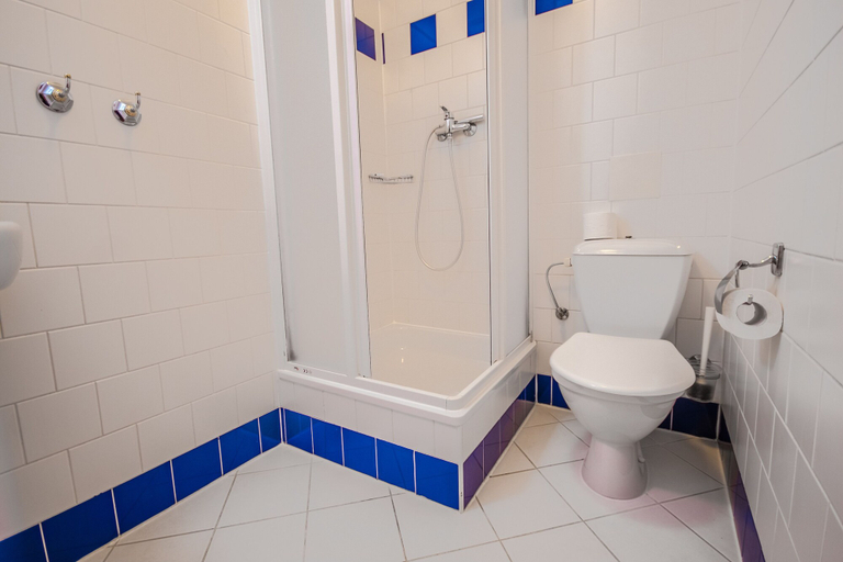 Bathroom 3, Pension Brezina Prague, Praha 2