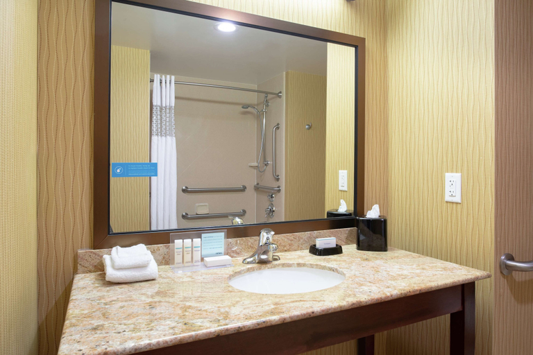 Bathroom 4, Hampton Inn & Suites Denver/South-RidgeGate, Douglas