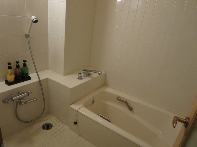 Bathroom 4, Kanbayashi Hotel Senjukaku, Yamanouchi