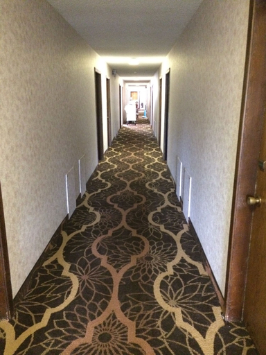 Others 5, Island Inn, Hall
