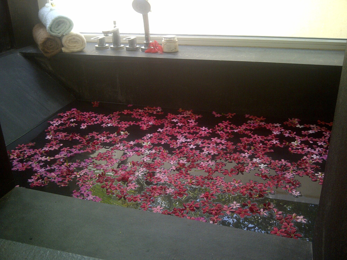 Bedroom 4, The Meadows Resort and Spa, Aurangabad