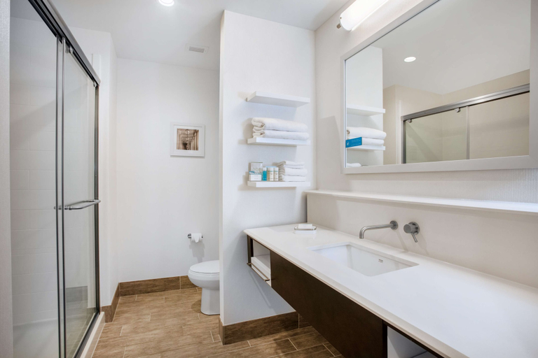 Bathroom 4, Hampton Inn Rochester Penfield, Monroe