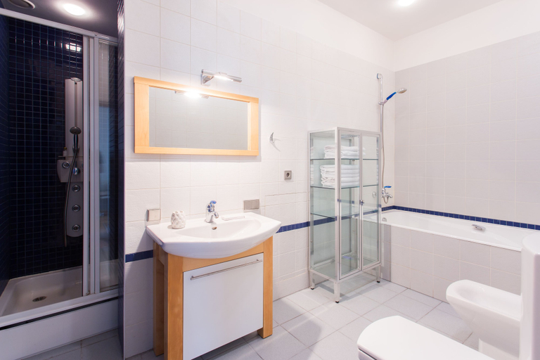 Bathroom 2, hth24 Apartment on Angliyskaya Naberezhnaya 20-54, Sankt-Peterburg gorsovet