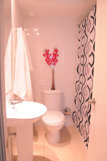 Bathroom, Metropolitan Santiago, Santiago