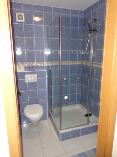 Bathroom 3, Tourist farm and beekeeping Salamun, Veržej