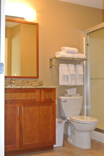Bathroom 4, TownePlace Suites by Marriott Birmingham South, Jefferson