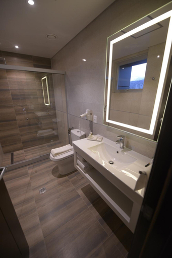 Bathroom 4, Hotel Rennova, Pedro Domingo Murillo