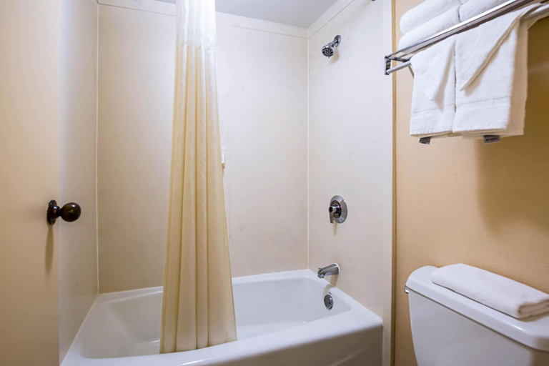 Bathroom 4, Quality Inn & Suites, Dillon