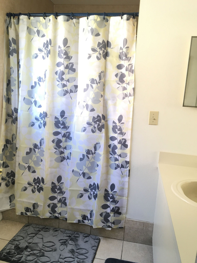 Bathroom 5, Mickey's Paradise, Osceola