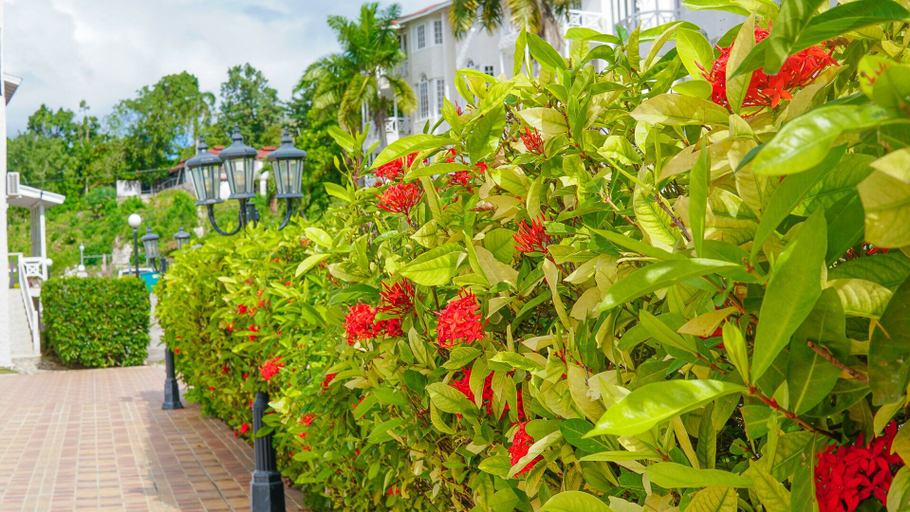 Others 4, Mira Bay Apartments