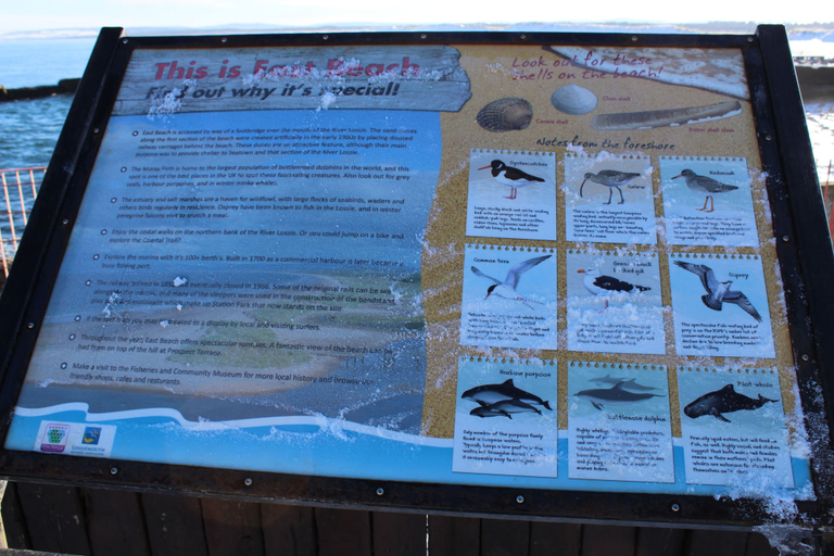 Sport & Beauty, Beachfront Panoramic Seaview Free Wifi & Parking, Moray