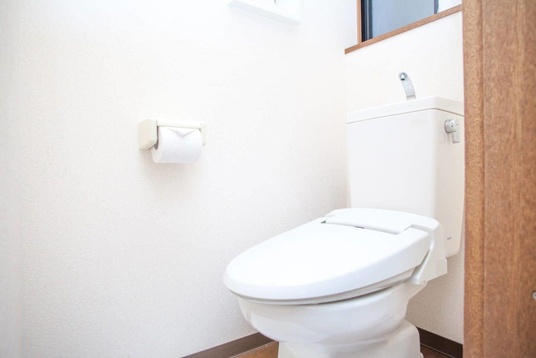 Bathroom 3, Taisho Family condo, Osaka