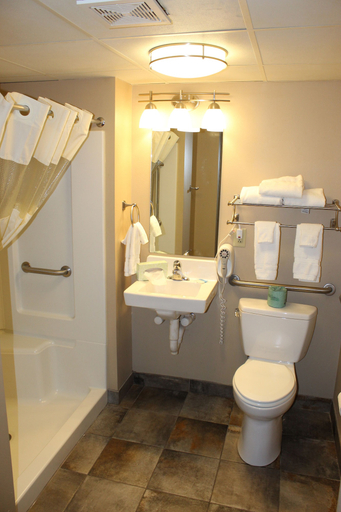 Bathroom 4, Lamplighter Inn & Suites - South, Greene