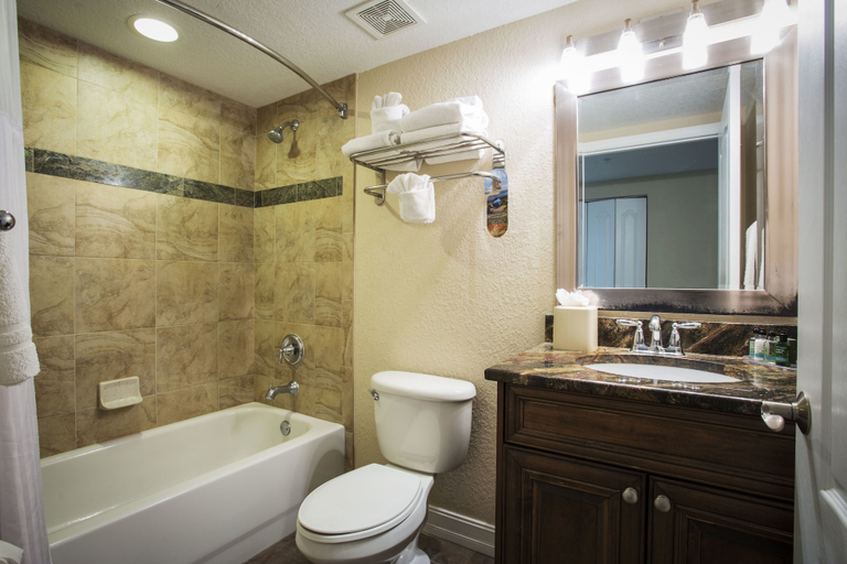 Bathroom 5, Crystal Palms Beach Resort, Pinellas