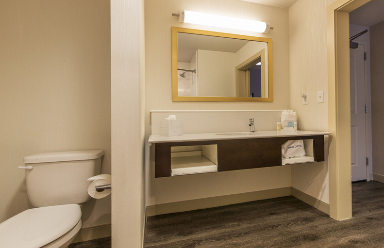 Bathroom 4, Homewood Suites by Hilton Houston Downtown Convention Center, Houston