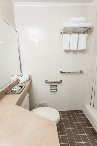 Bathroom 3, Hotel Plaza San Martin, Distrito Central