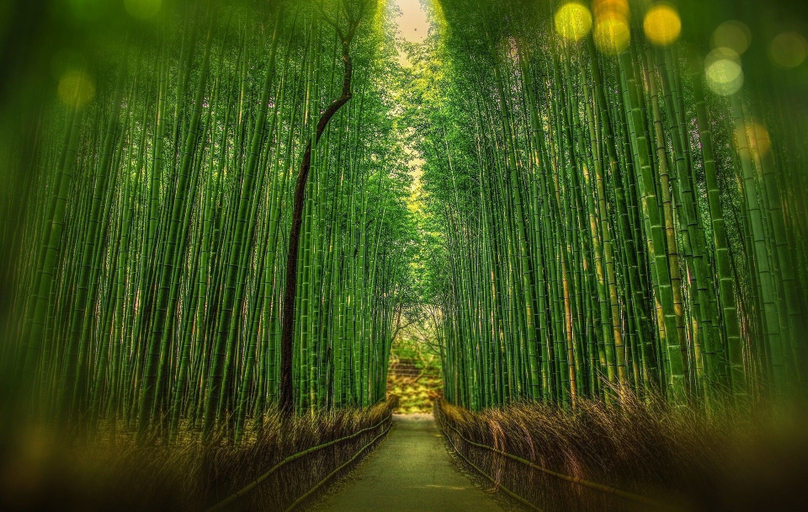 Others 5, Kiyomizu Bettei, Kyoto