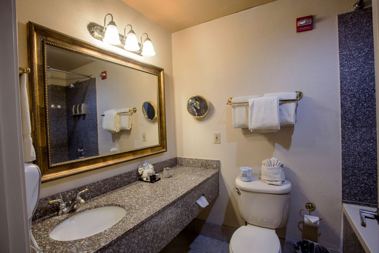 Bathroom 5, O'Brien Historic Riverwalk, An Ascend Hotel Collec, Bexar