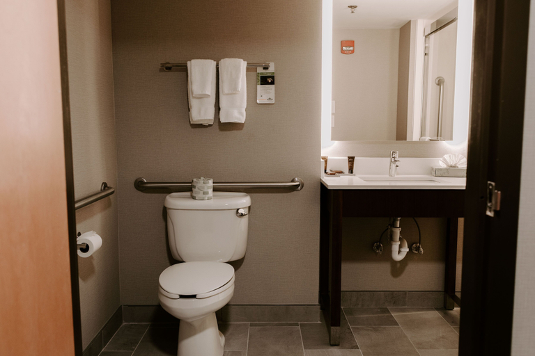 Bathroom 4, Wingate by Wyndham Chantilly / Dulles Airport, Fairfax