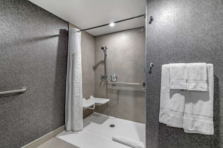 Bathroom 4, Clarion Inn Nashua, Hillsborough