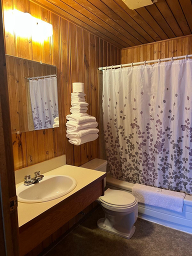 Bathroom 4, Glacier View Inn, Yukon