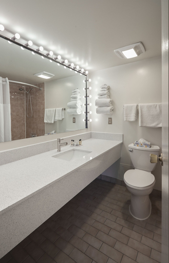 Bathroom 4, The Business Inn, Ottawa