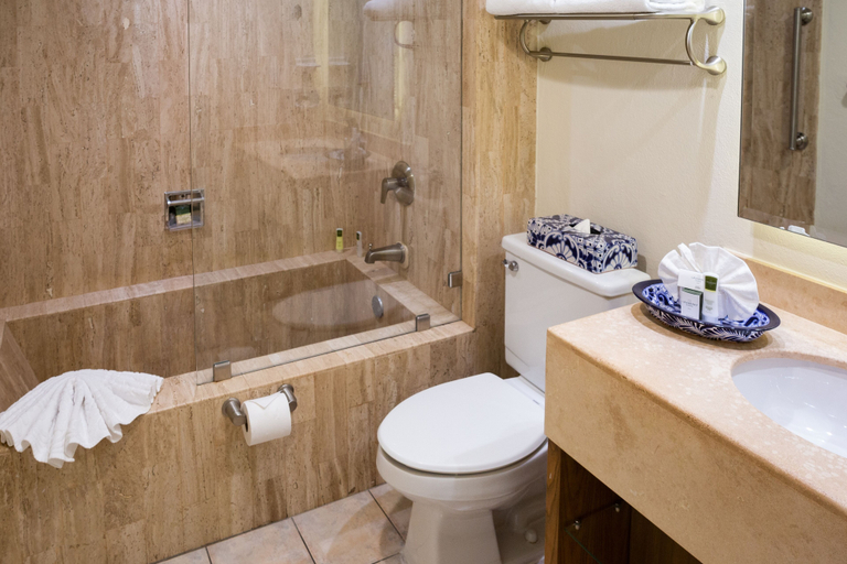 Bathroom 5, Villa del Palmar Beach Resort Cabo San Lucas, La Paz