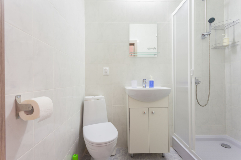 Bathroom 2, Residence on Borovaya, Sankt-Peterburg gorsovet