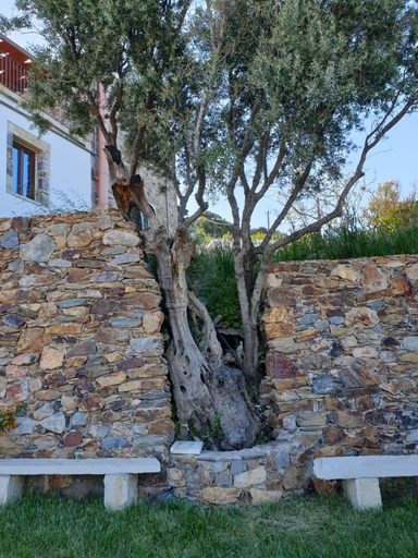 Exterior & Views 2, Minos Country Living Apartments, Crete