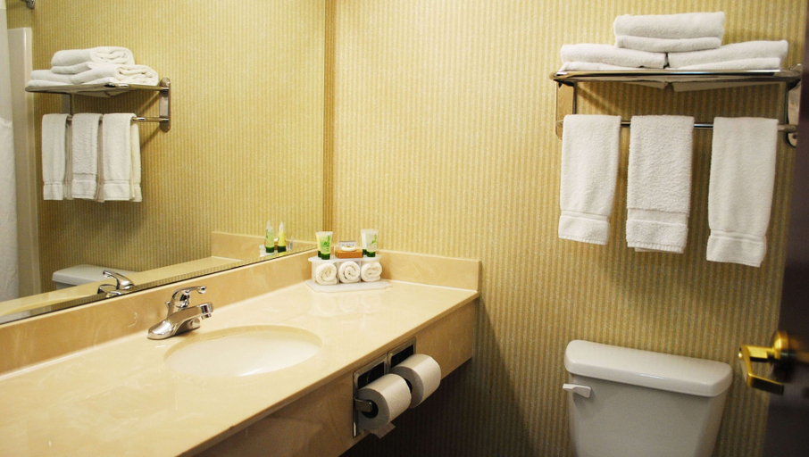 Bathroom 4, Magnuson Hotel Commerce, Hunt
