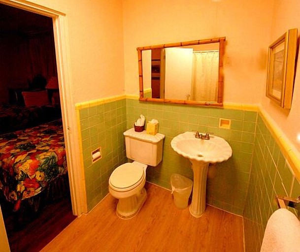 Bathroom 4, Casa Del Caribe Inn