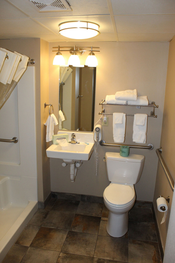 Bathroom 4, Lamplighter Inn & Suites - South, Greene