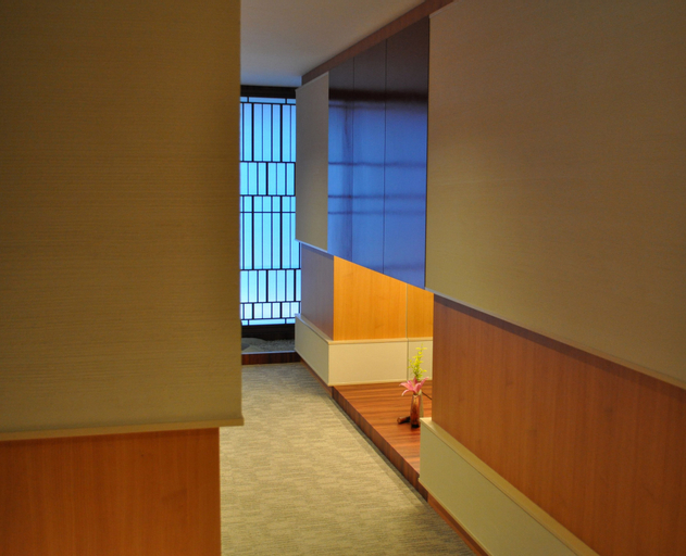 Others 11