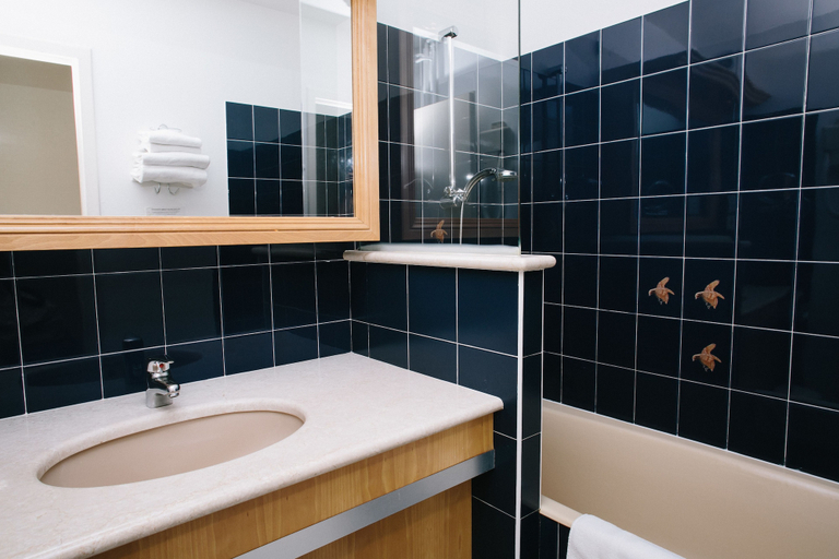 Bathroom 4, Le Relais Du Roy, Manche