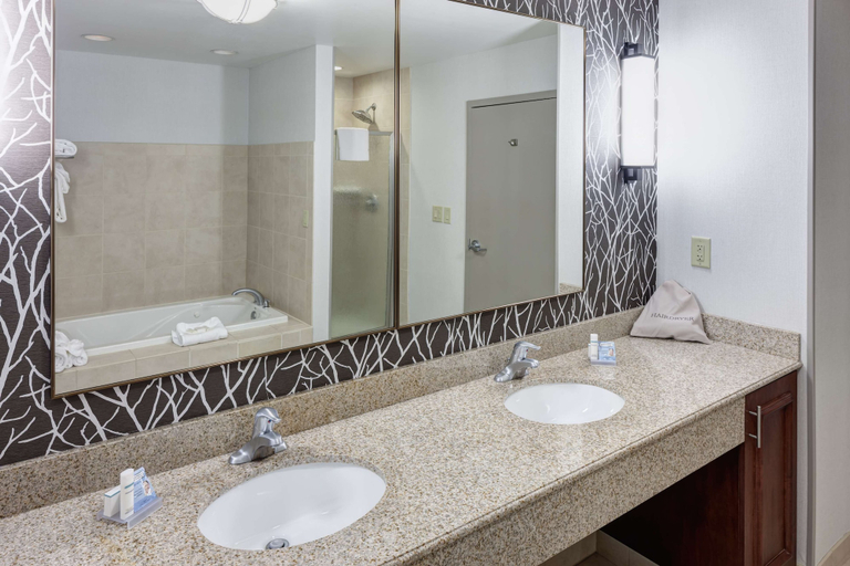 Bathroom 4, Hilton Garden Inn Nashville Vanderbilt, Davidson
