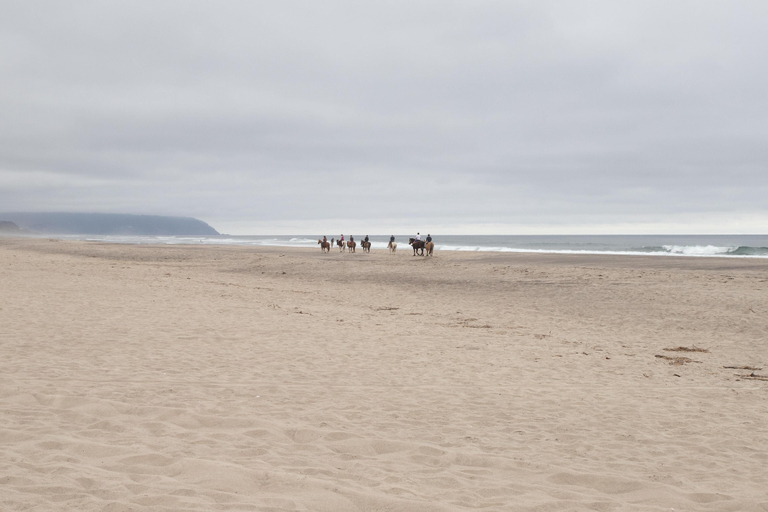 Others 5, Shore Thing, Tillamook