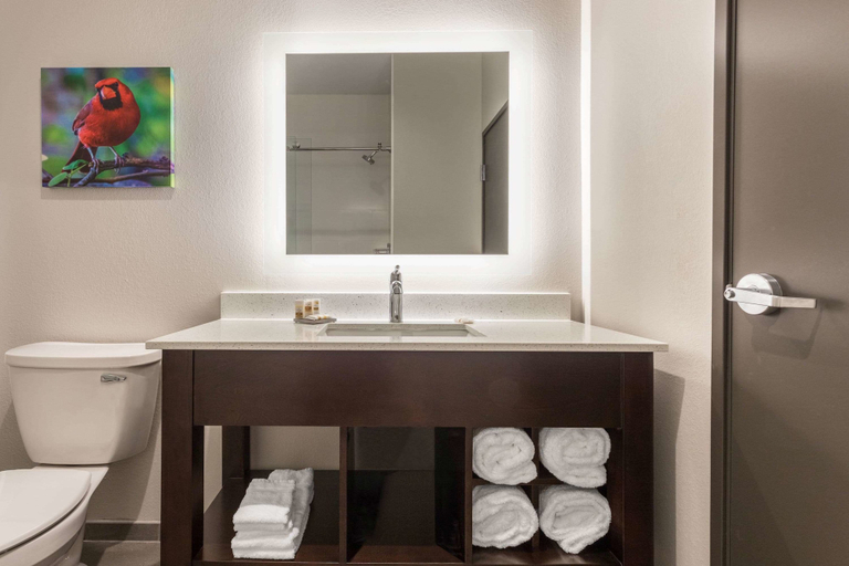Bathroom 5, La Quinta Inn & Suites by Wyndham Bloomington, Monroe