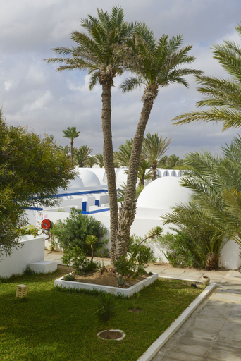 Exterior & Views 2, Monarque Dar Jerba Narjess - Family Only, Djerba Midoun