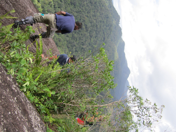 Others 4, Explorer by Eco team - Sinharaja, Kalawana