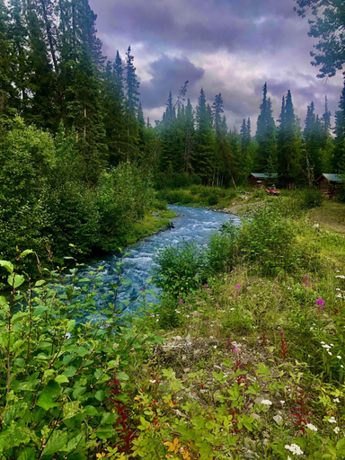 Others 5, Carlo Creek Cabins, Denali