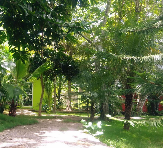 Others 5, Green Jungle Hotel y Restaurante, Santa Ana