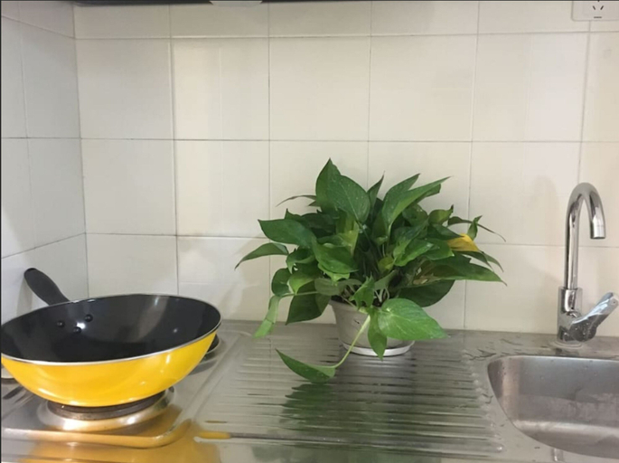 Others 4, AG House Apartment - Nanmatou Road No 2 Branch, Shanghai