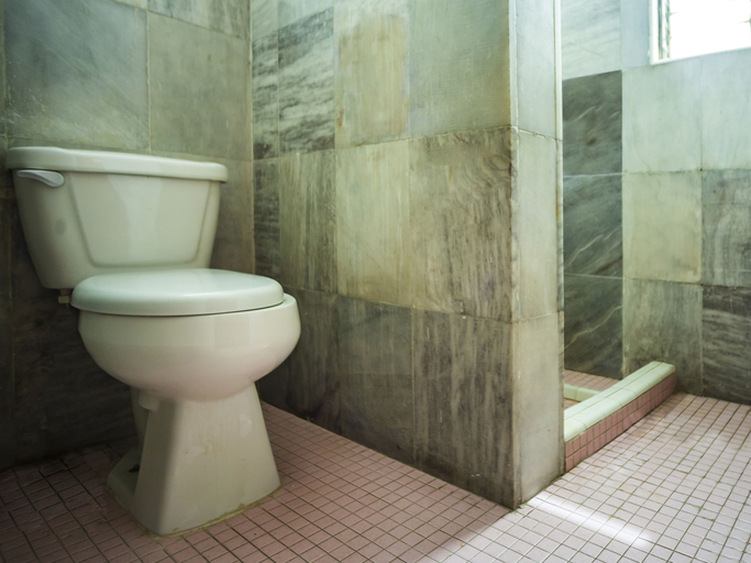 Bathroom 4, OYO Hotel Oasis, Matehuala, Matehuala