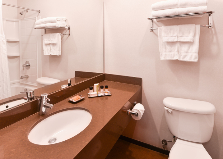 Bathroom 4, The Tangerine - A Burbank Hotel, Los Angeles