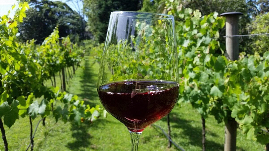 Food & Drinks, Shambala Estate, Tamborine Mountain